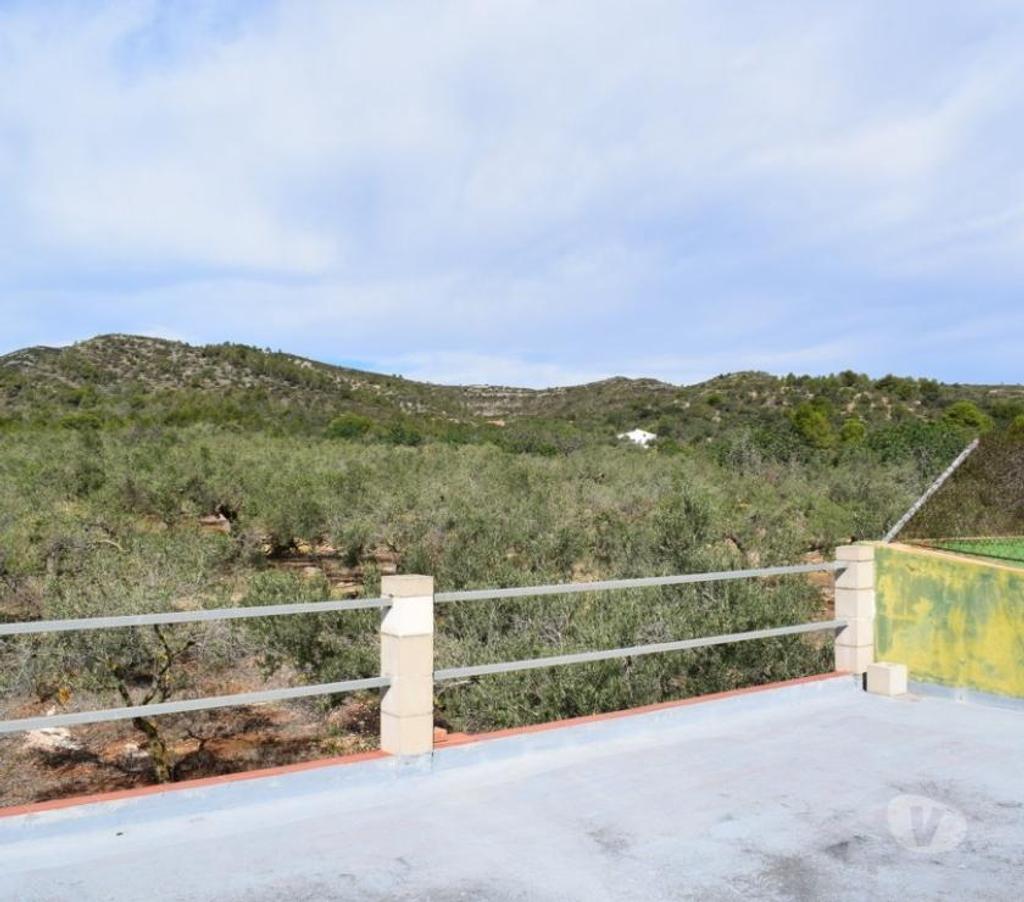 Terrain à vendre Espagne - Photos Vivastreet Terrain d'oliviers de 13 483 m2 et résidence de 72 m2