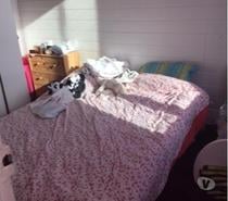 F2 ENTIEREMENT MEUBLE 26M2 HYPER CENTRE-VILLE 480€ CC