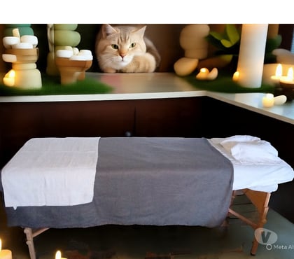 Massage Gap Gap - Photos Vivastreet Massage bien-être, soins énergétiques.