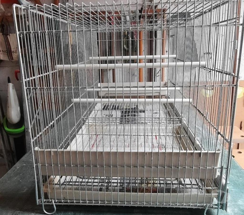 Services, accessoires animaux Nord Wattrelos - 59150 - Photos Vivastreet Cage pour oiseaux