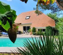 Charmante maison familiale avec piscine - Sud Est PAU 64