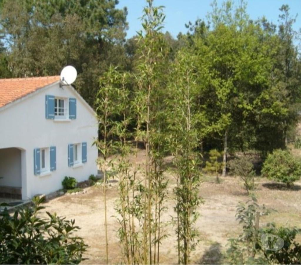 location saisonniere Vendée St Jean de Monts - 85160 - Photos Vivastreet Maison à Saint Jean de Monts (Vendée)-animaux acceptés