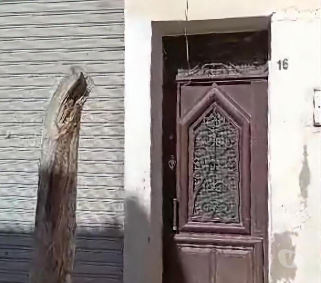 Vente Maison Algérie - Photos Vivastreet VENDS MAISON DES ANNEES 80 SITUEE A BATNA