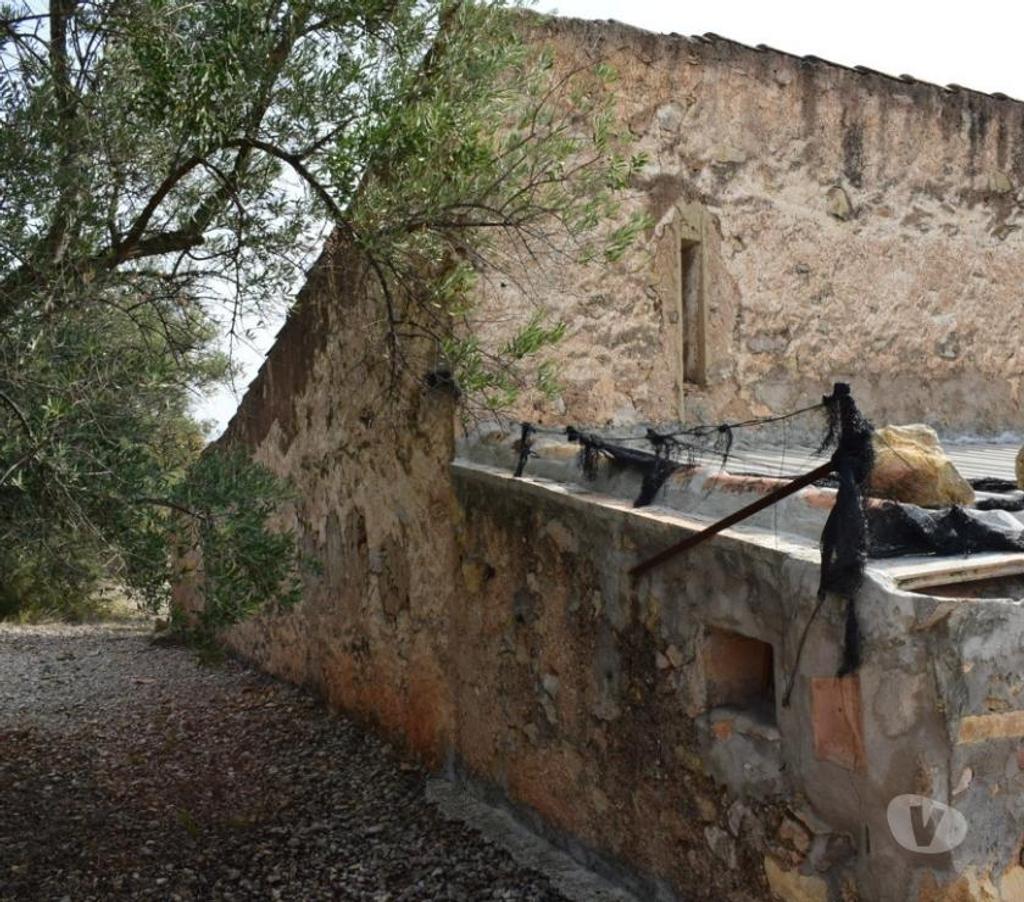 Terrain à vendre Espagne - Photos Vivastreet Terrain d'oliviers de 24.303 m2 et maisonette de 65 m2