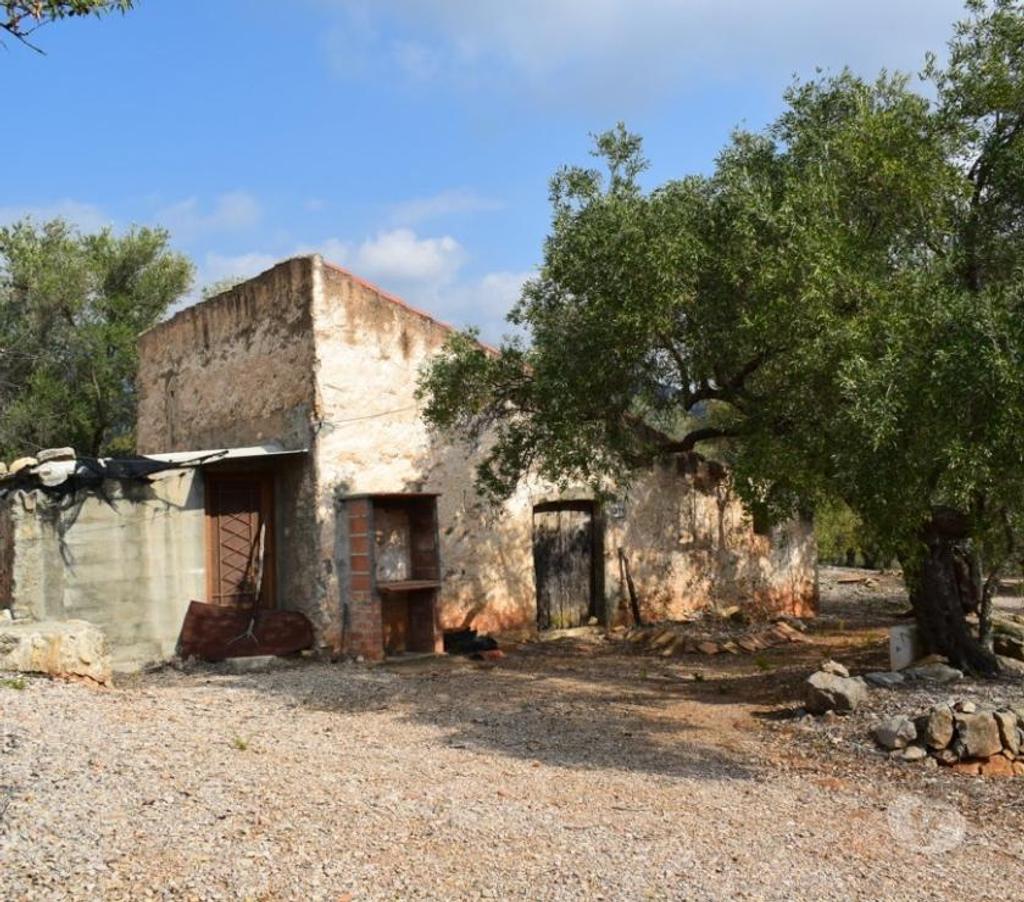 Terrain à vendre Espagne - Photos Vivastreet Terrain d'oliviers de 24.303 m2 et maisonette de 65 m2