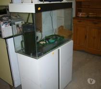 Aquarium avec accessoires, promotion