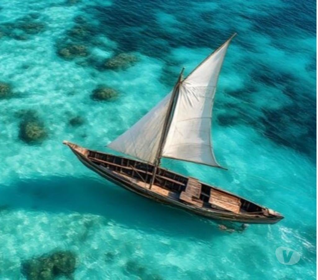 location saisonniere Hérault Montpellier - Photos Vivastreet ECO-SEJOUR ZANZIBAR