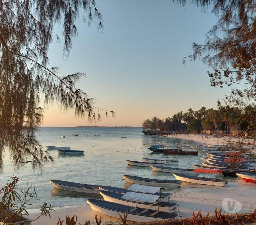 location saisonniere Hérault Montpellier - Photos Vivastreet ECO-SEJOUR ZANZIBAR