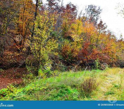 Vente Terrain Clermont le Fort Haute-Garonne - Photos Vivastreet Terrain 887m2 Bord d'Ariège Clermont le Fort
