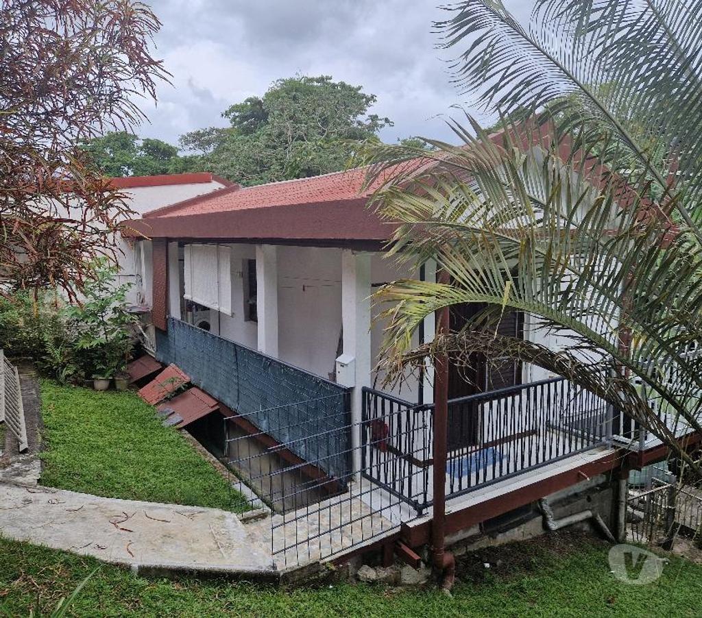 Appartement meublé Martinique Fort de france - 97200 - Photos Vivastreet A ne pas rater studio pour etudiant...