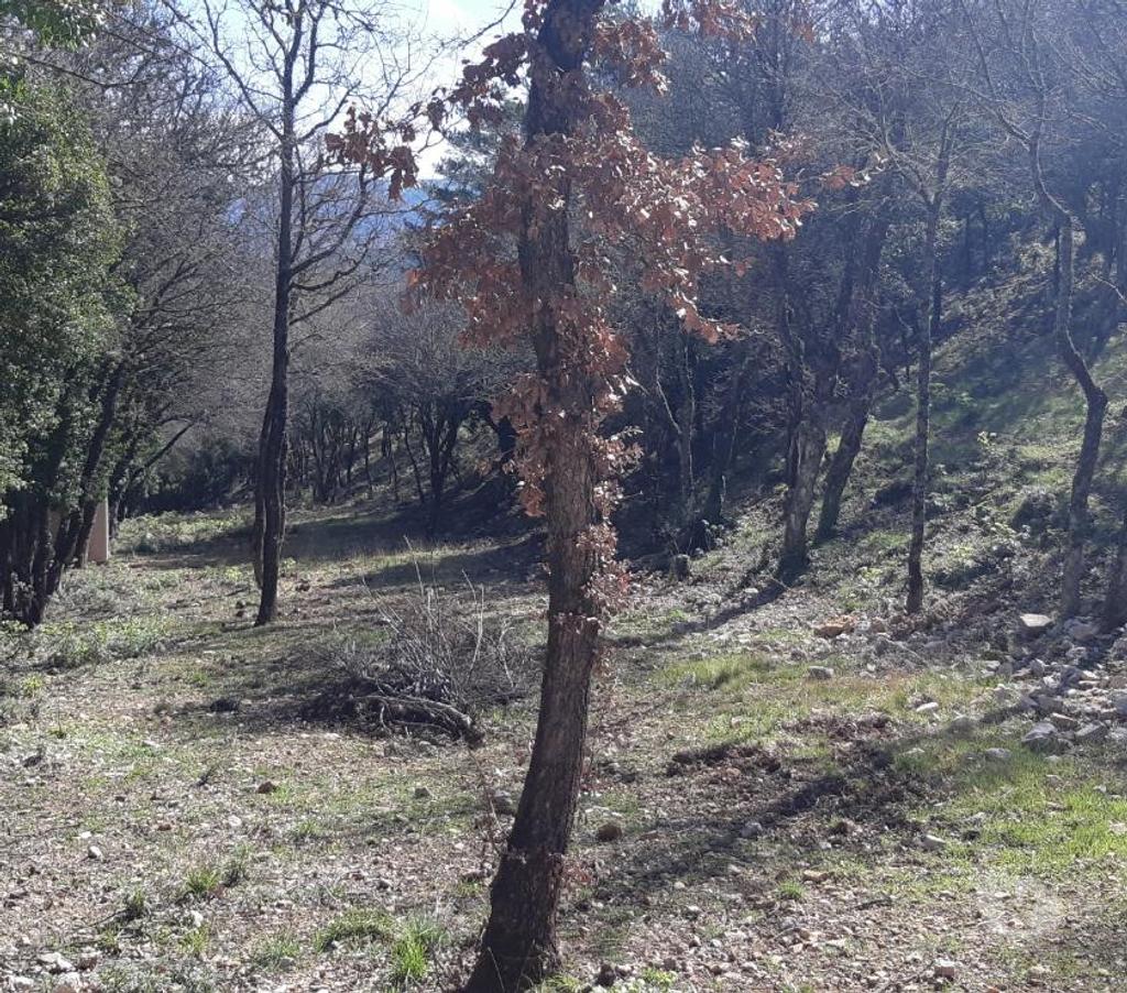 Vente Maison Var St Maximin la Ste Baume - 83470 - Photos Vivastreet Villa exceptionnelle sous estimation cause expatriation.