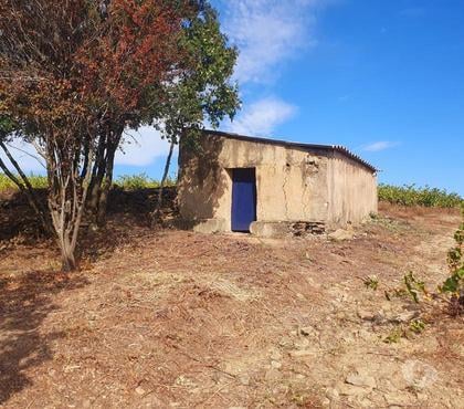 Vente Terres Agricoles Faugeres Hérault - Photos Vivastreet Mazet sur terrain de 10 000 M2 Faugères 34