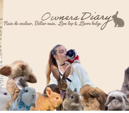 Vente animaux L'Aigle Orne - Photos Vivastreet Lapins et lapereaux