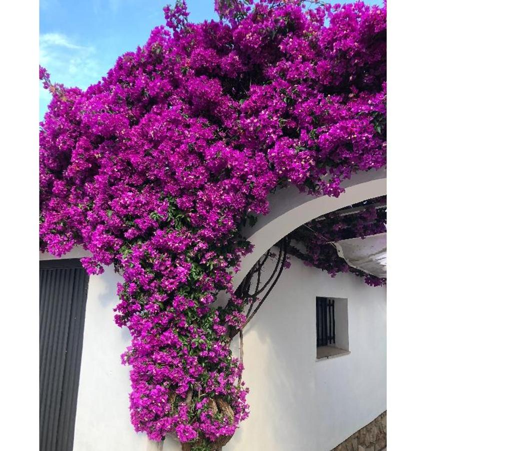 location saisonniere Espagne - Photos Vivastreet Très belle villa disponible en 2026