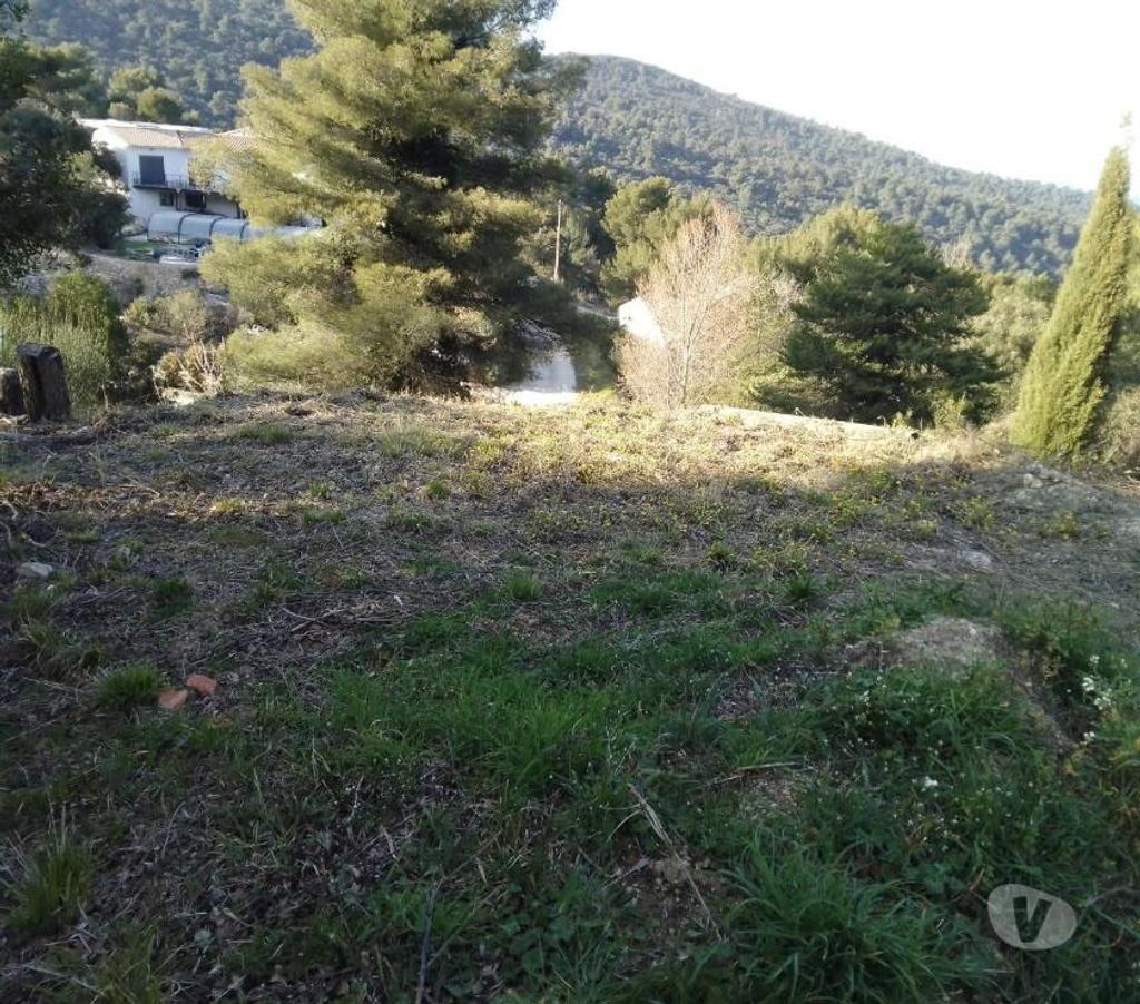 Vente Maison Var Plan d'Aups Ste Baume - 83640 - Photos Vivastreet Maison de plain-pied de 200 m2 + studio + piscine