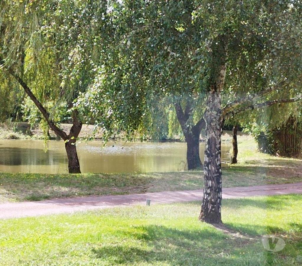 Vente Maison Loir-et-Cher Romorantin Lanthenay - 41200 - Photos Vivastreet Maison de charme proche centre-ville avec terrain boisé