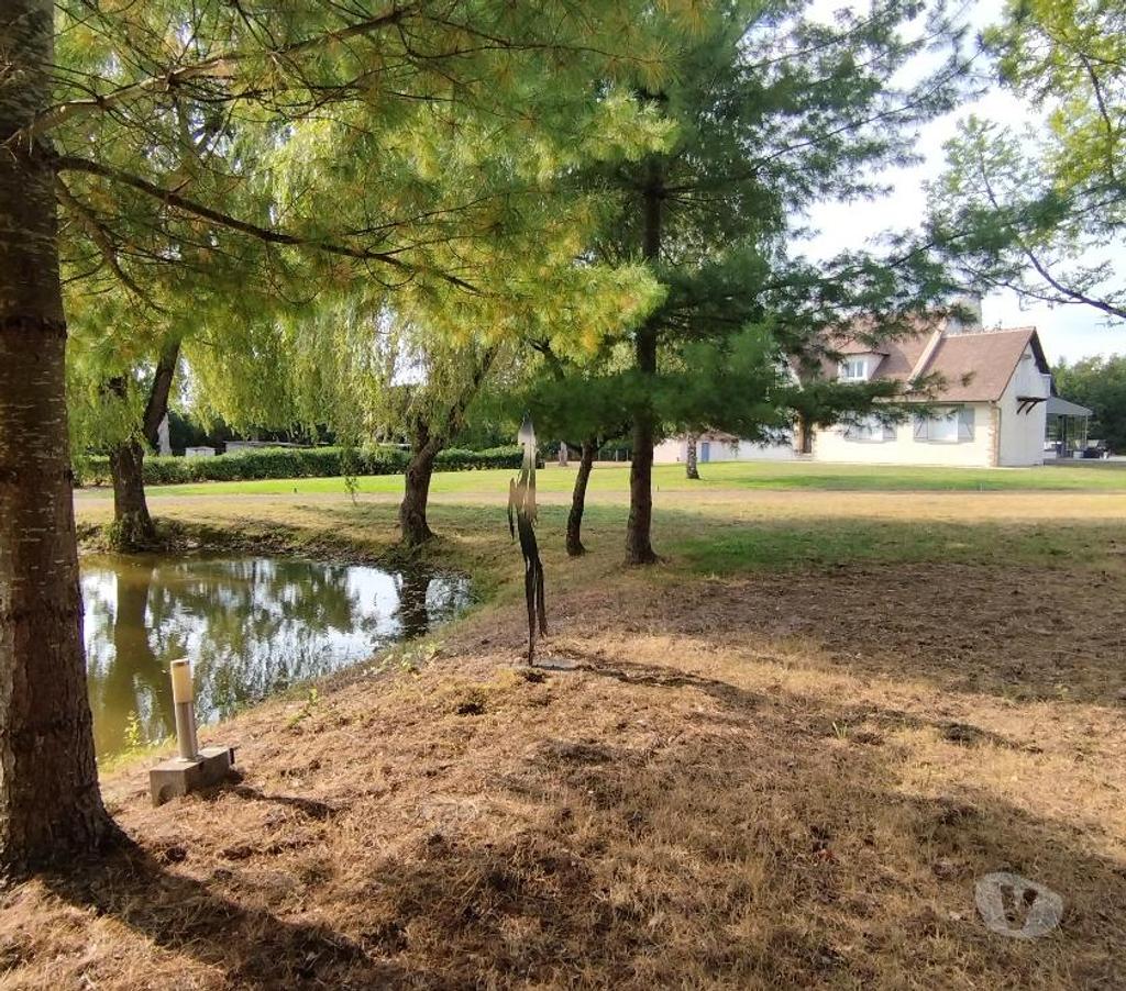 Vente Maison Loir-et-Cher Romorantin Lanthenay - 41200 - Photos Vivastreet Maison de charme proche centre-ville avec terrain boisé