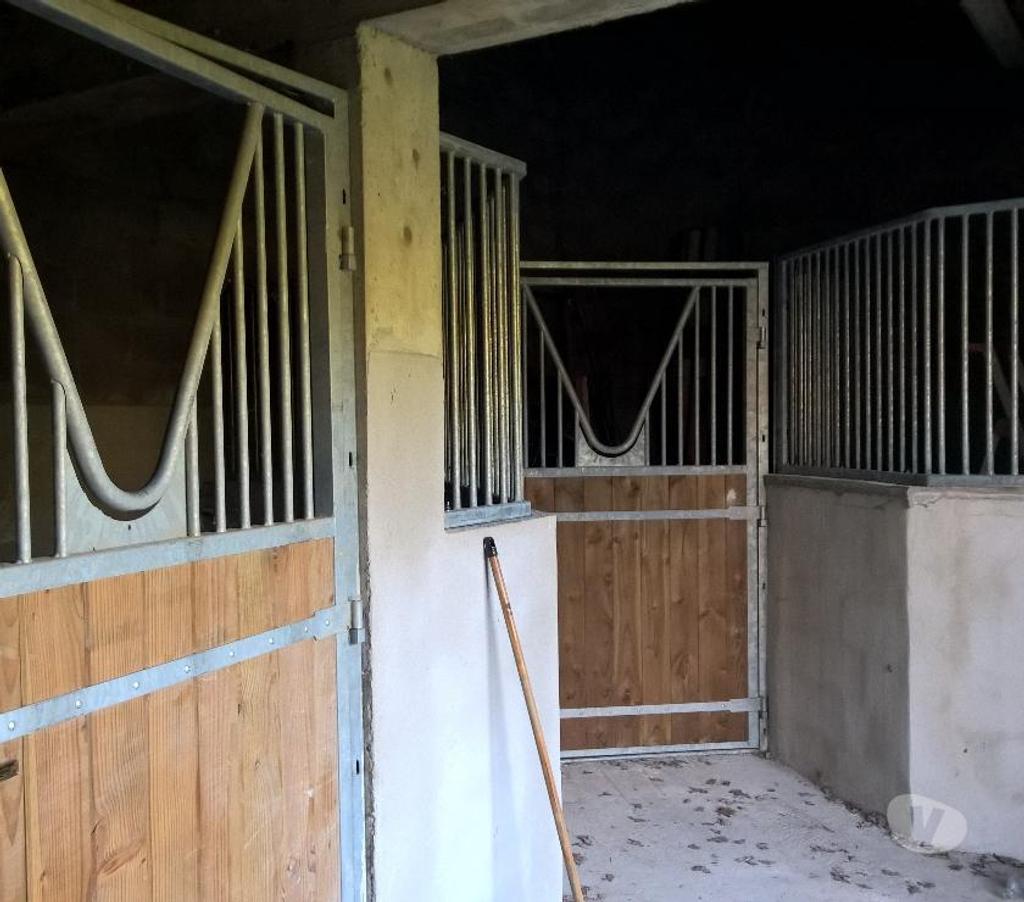 Vente Maison Loir-et-Cher Romorantin Lanthenay - 41200 - Photos Vivastreet Maison de charme proche centre-ville avec terrain boisé