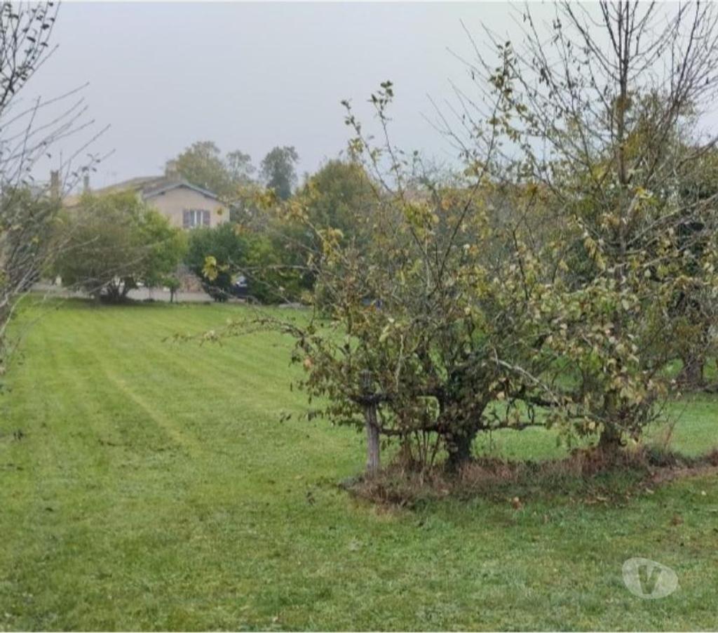 Terrain à vendre Saône-et-Loire Ige - 71960 - Photos Vivastreet Terrain à bâtir de 1172m² viabilisé - Centre d'Igé