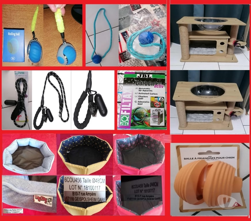 Services, accessoires animaux Var Frejus - 83600 - Photos Vivastreet Accessoires pour chien & chats