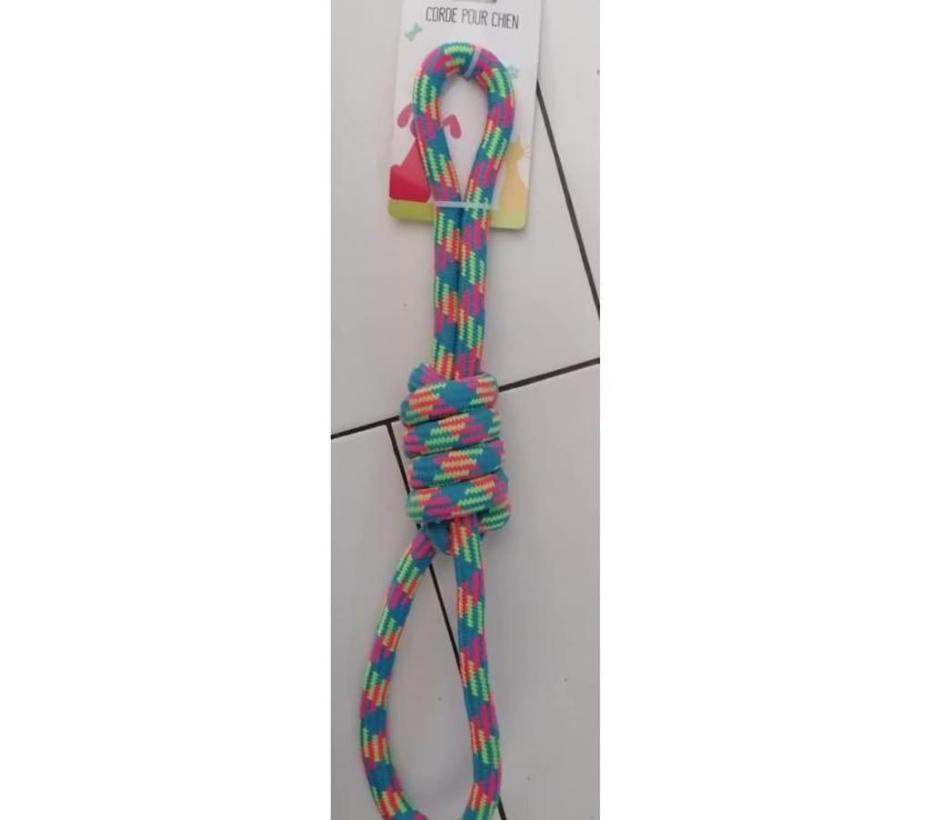 Services, accessoires animaux Var Frejus - 83600 - Photos Vivastreet Accessoires pour chien & chats