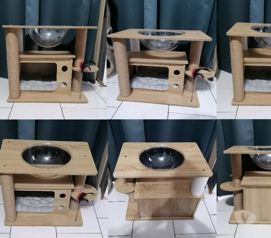 Services, accessoires animaux Var Frejus - 83600 - Photos Vivastreet Accessoires pour chien & chats