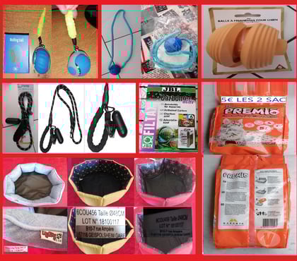 Services, accessoires animaux Frejus Var - Photos Vivastreet Accessoires pour chien & chats