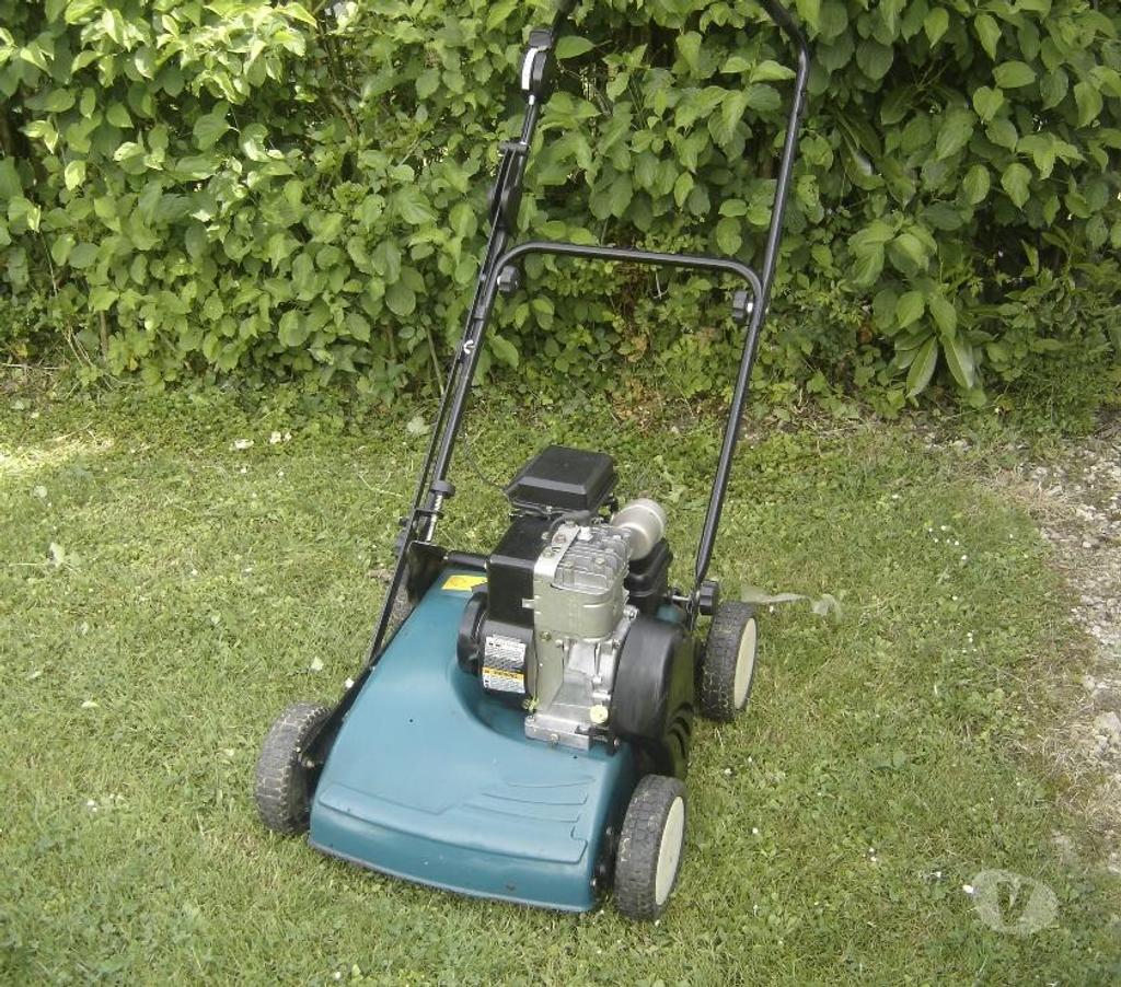  Côte-d'Or Chevigny St Sauveur - 21800 - Photos Vivastreet scarificateur thermique révisé