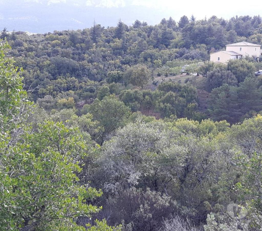 Vente Maison Var Plan d'Aups Ste Baume - 83640 - Photos Vivastreet Grande villa moderne calme avec vue unique