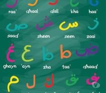 Donne cours de Darija dialecte Marocain, arabe et français