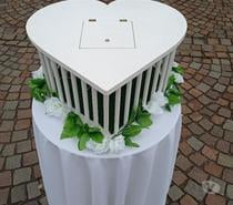 Les mariés lâchent les colombes