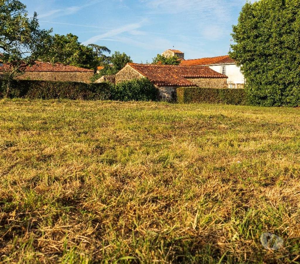 Terrain à vendre Vendée Marsais Ste Radegonde - 85570 - Photos Vivastreet Top! beau terrain Sud Vendée à 45 minutes de La Rochelle