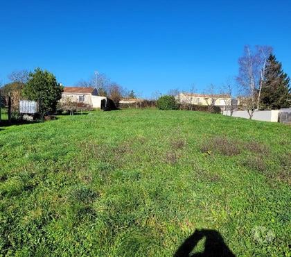 Vente Terrain Marsais Ste Radegonde Vendée - Photos Vivastreet Top! beau terrain Sud Vendée à 45 minutes de La Rochelle