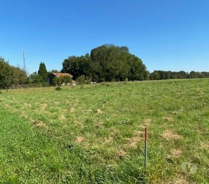 Vente Terrain Haussignemont Marne - Photos Vivastreet Terrain à bâtir viabilisé