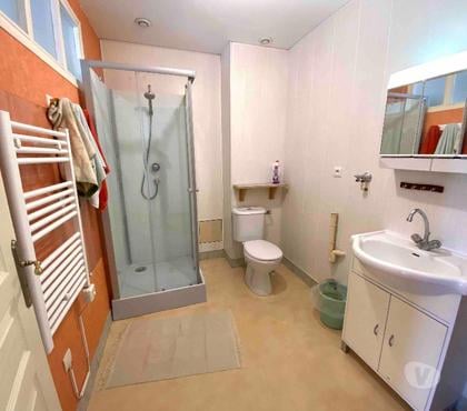 Maison à vendre Mer Loir-et-Cher - Photos Vivastreet MER Loir et cher (41500) Maison avec Appartement CENTRE VILL