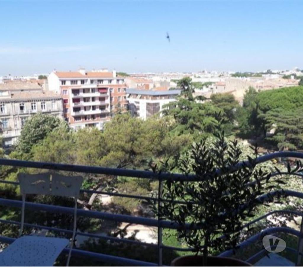 Appartement meublé Hérault Montpellier - Photos Vivastreet Centre-ville Mtp charmante chambre meublée indépendante