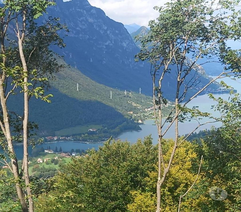 Vente Terres Agricoles Italie - Photos Vivastreet Maison dans le bois 140.000 m2