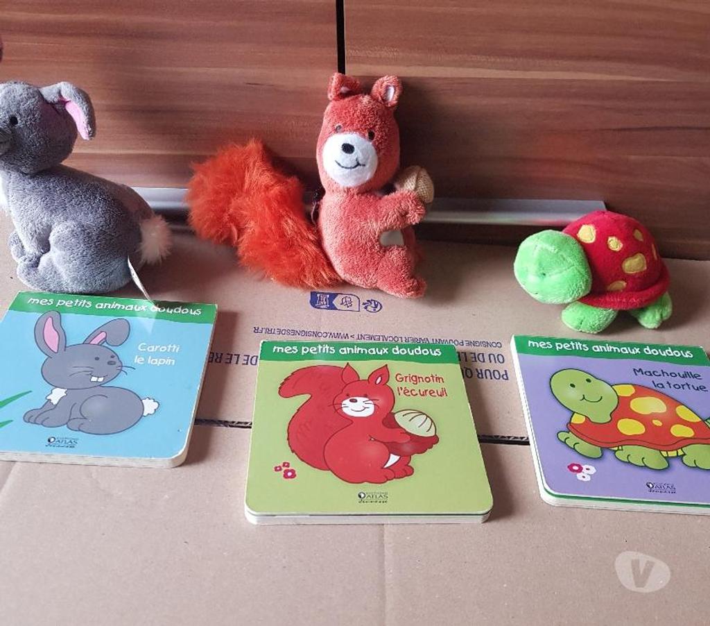Jeux - Jouets Essonne Juvisy sur Orge - 91260 - Photos Vivastreet doudous et livres neufs
