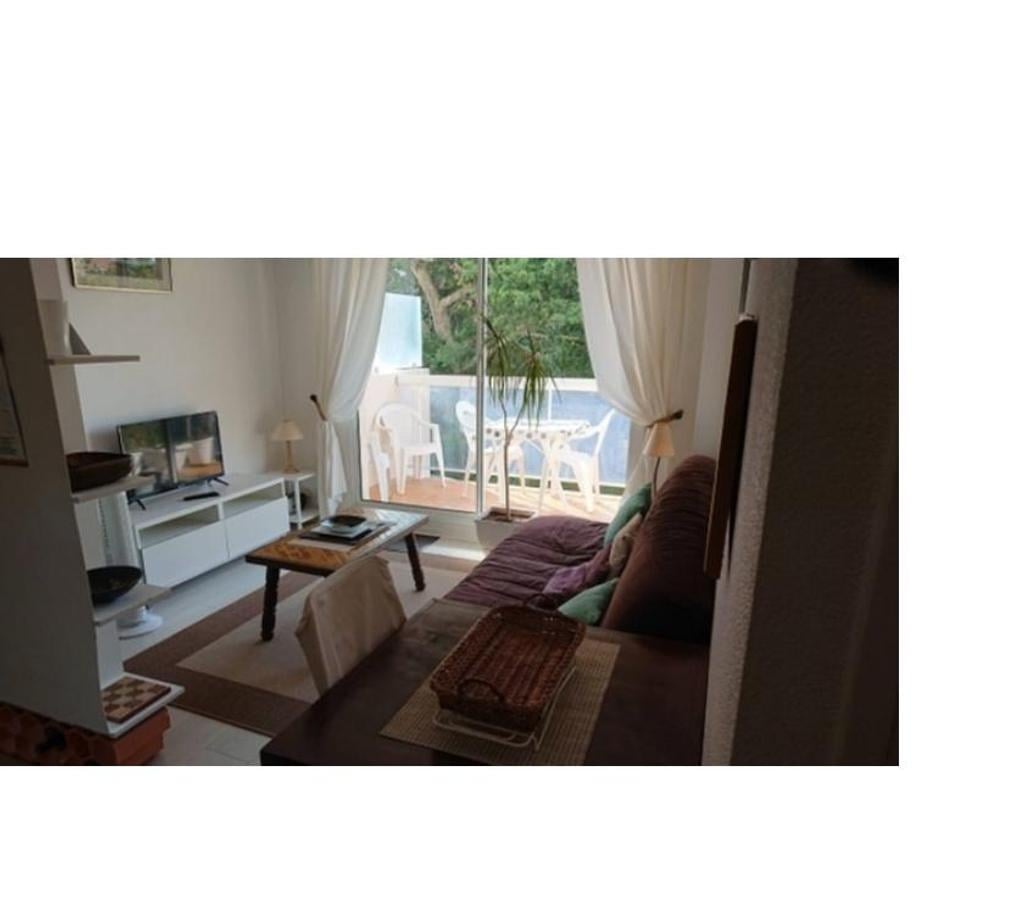 location saisonniere Gironde Arcachon - 33120 - Photos Vivastreet Location Vacances