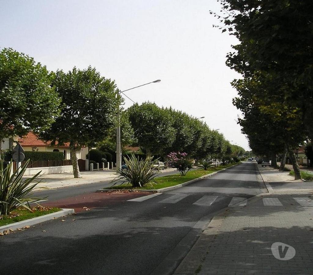location saisonniere Gironde Arcachon - 33120 - Photos Vivastreet Location Vacances