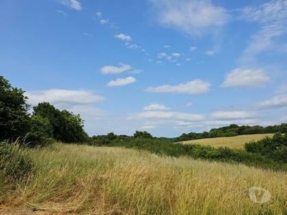 Maison à vendre St Claud Charente - Photos Vivastreet Petite Maison Pittoresque de Compagne avec Dépendances et Terrain