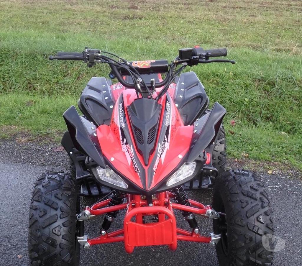 Quad occasion Hautes-Pyrénées Pujo - 65500 - Photos Vivastreet Quad 125 SPEEDY neuf
