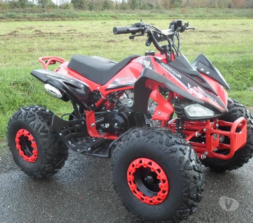 Quad occasion Hautes-Pyrénées Pujo - 65500 - Photos Vivastreet Quad 125 SPEEDY neuf