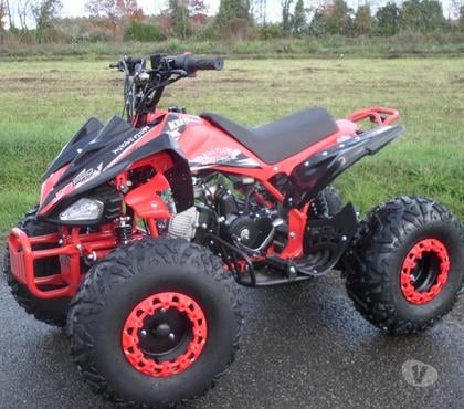 Quad occasion Pujo Hautes-Pyrénées - Photos Vivastreet Quad 125 SPEEDY neuf