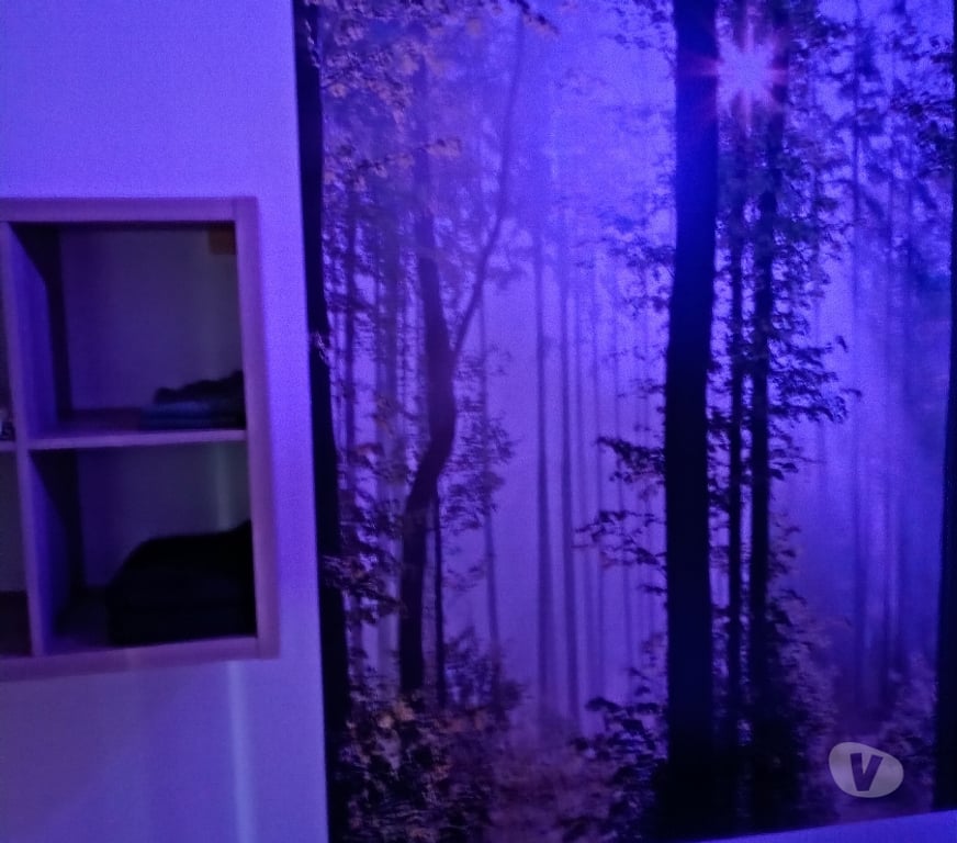 Massages Calvados Caen - 14000 - Photos Vivastreet Centre de bien être (Morgane a rejoind notre équipe)