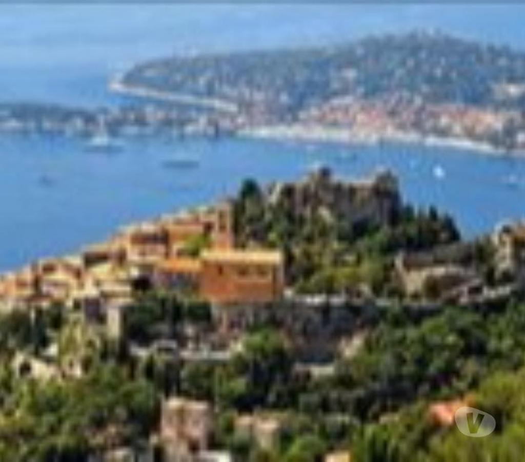 Location appartement Alpes-Maritimes Nice - Photos Vivastreet recherche appartement vide
