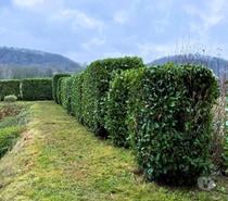 Paysagiste Jardinier