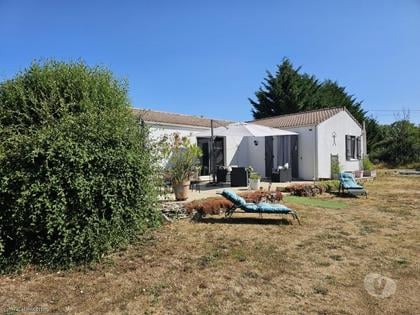 Achat maison Blanzay Vienne - Photos Vivastreet Joli Pavillon dans un grand terrain sans vis à vis