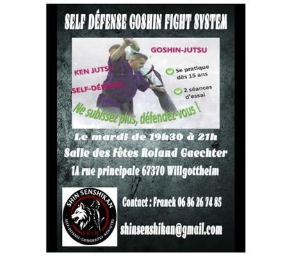 Cours de sport Willgottheim Willgottheim - Photos Vivastreet OUVERTURE DU CLUB SHIN SENSHIKAN À WILLGOTTHEIM