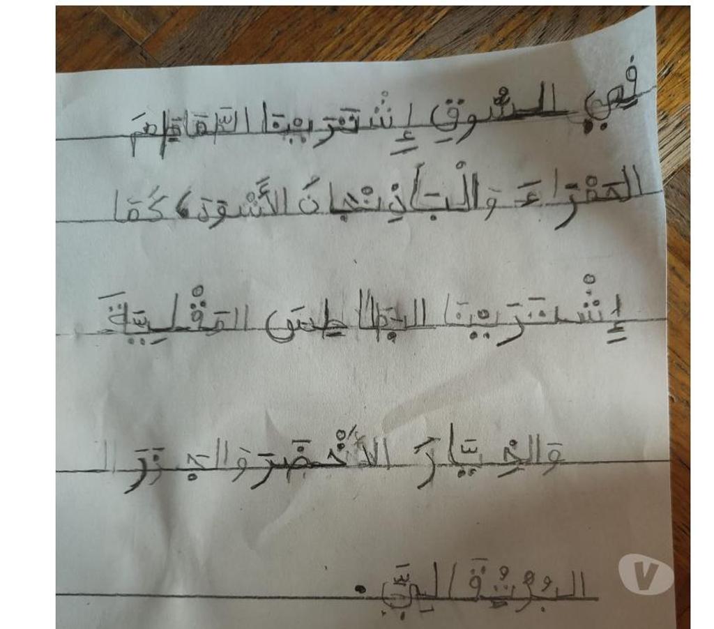 Cours de Langue Paris Paris 19ème ardt - 75019 - Photos Vivastreet Apprendre l'arabe facilement
